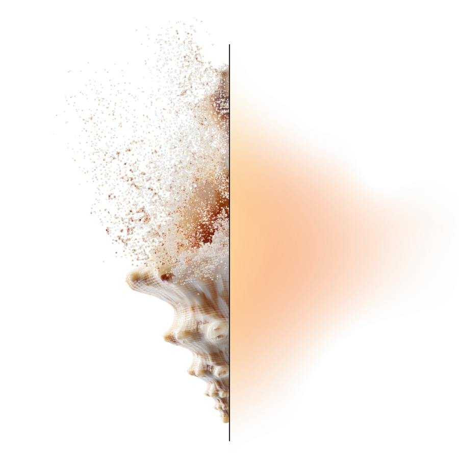 Graphic of half a shell with an orange and yellow gradient making up the other half