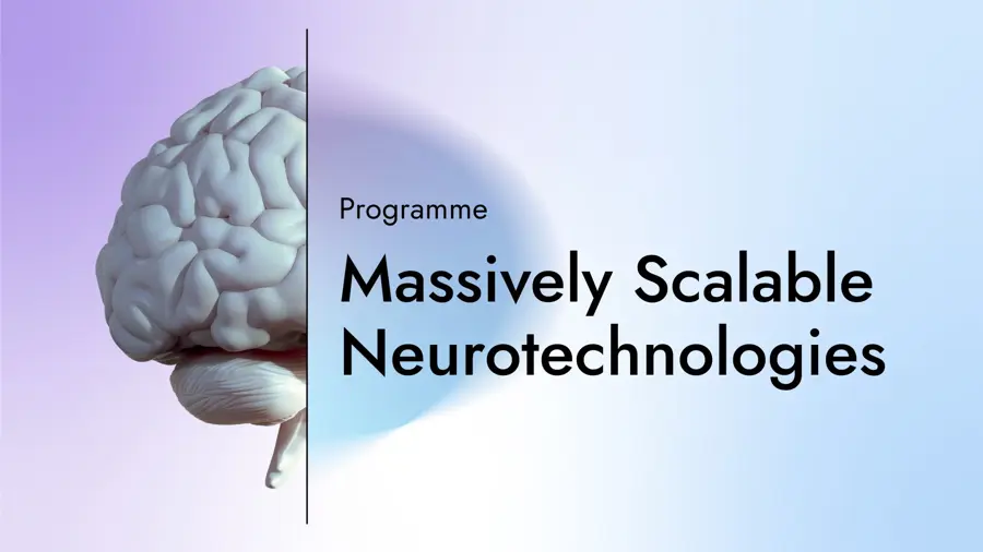 Massively Scalable Neurotechnologies Programme