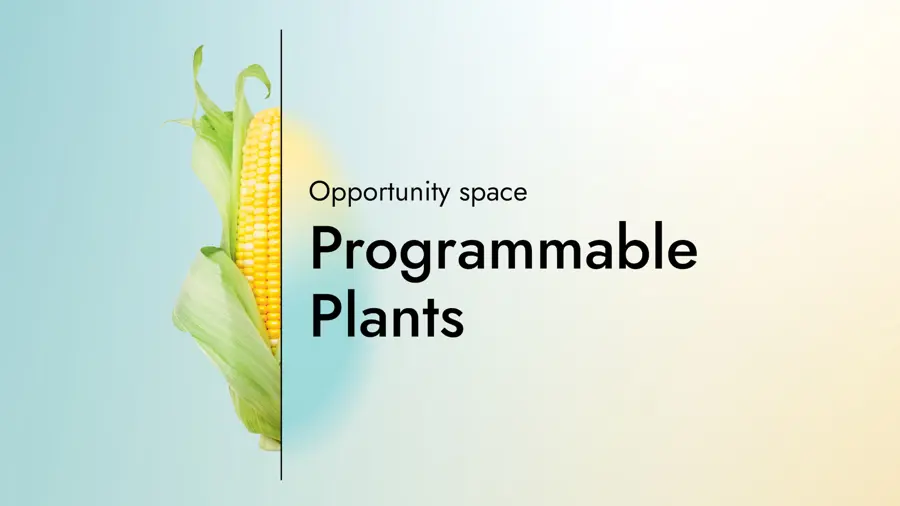 A card saying 'Programmable Plants' and 'opportunity space' on it with a graphic of a cob of corn. 
