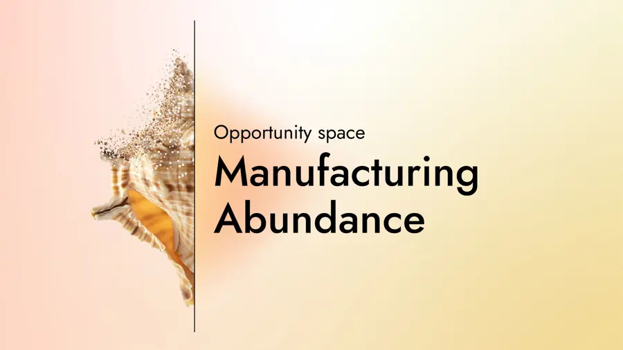 Manufacturing Abundance (1)