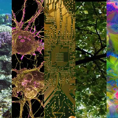 Composite image showing five vertical panels: underwater coral reef, neural network visualisation, golden circuit board pattern, forest canopy view, and colourful abstract digital art.