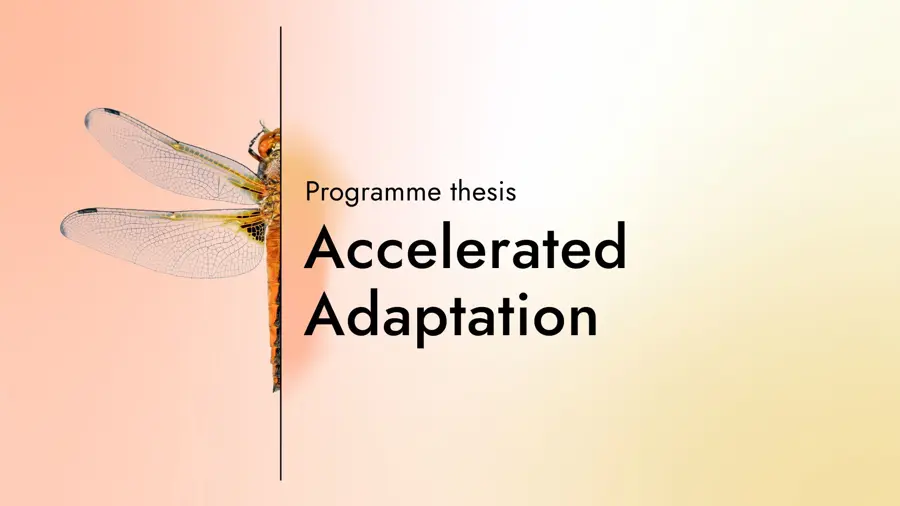 Card with the text "Programme thesis: Accelerated Adaption" with a graphic of half a dragonfly on a gradient background