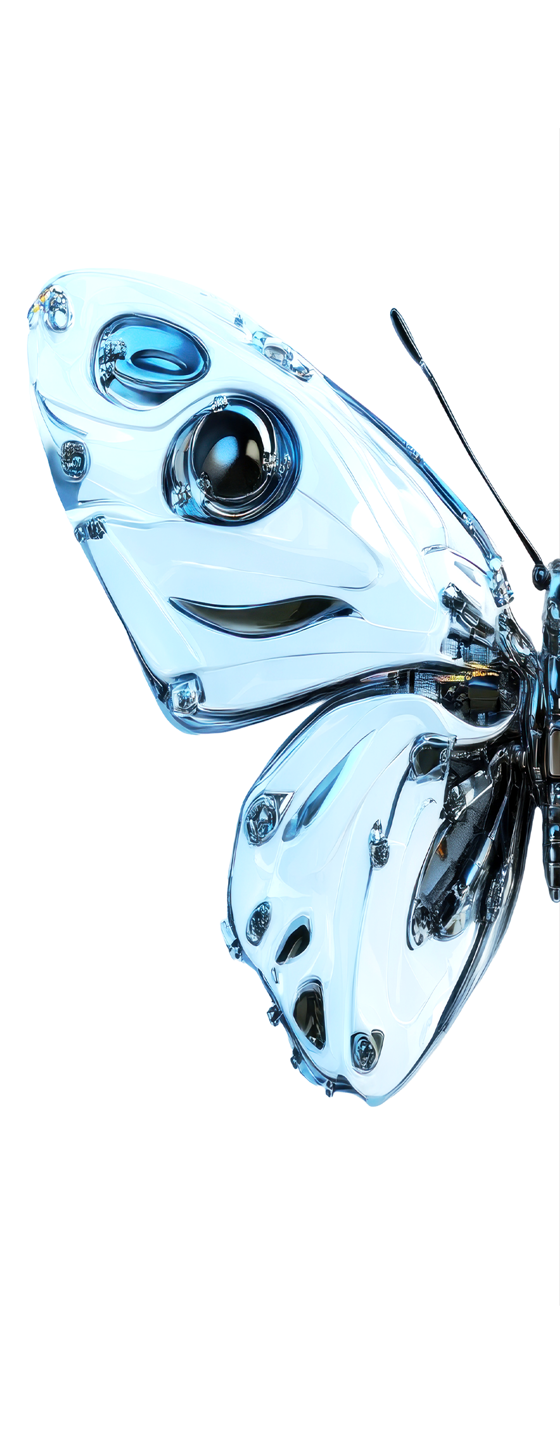 Graphic of a butterfly